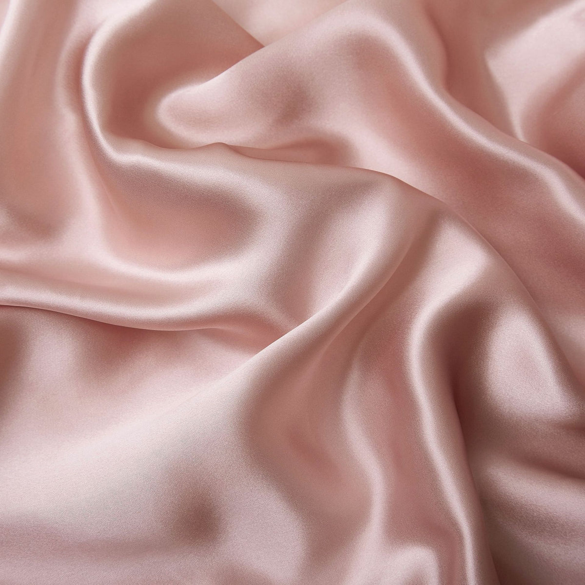 Soie de mûrier rose, détail